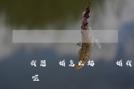 我想離婚怎么起訴離婚(我想離婚該怎么起訴呢)