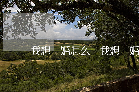 我想離婚怎么辦(我想離婚怎么辦請問)