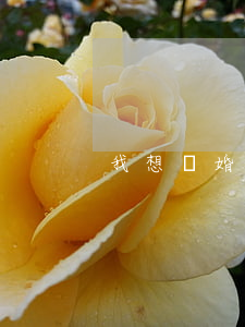 我想離婚怎么辦(離婚辦理)