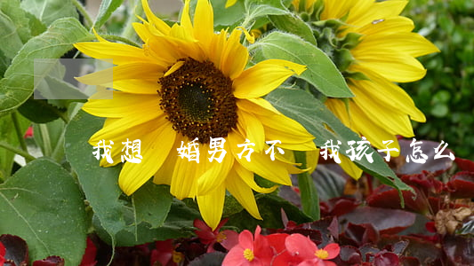 我想離婚男方不給我孩子怎么辦