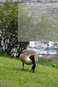 我愛卡你我貸逾期三年(我愛卡貸款)