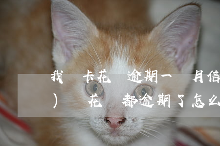 我愛卡花唄逾期一個月(信用卡網(wǎng)貸花唄都逾期了怎么辦)