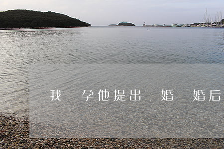 我懷孕他提出離婚(離婚后我懷孕了)