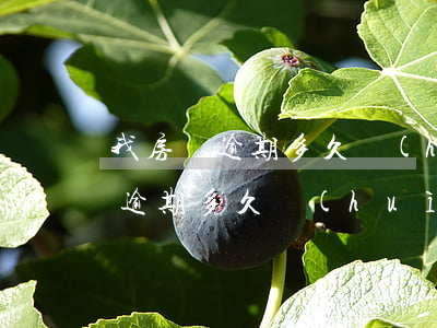 我房貸逾期多久會(huì)被起訴（我房貸逾期多久會(huì)被起訴）