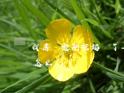 我房貸逾期被起訴了-房貸逾期被法院起訴怎么辦