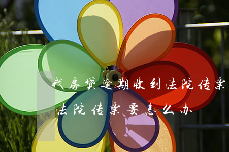 我房贷逾期收到法院传票(银行贷款逾期收到法院传票要怎么办)