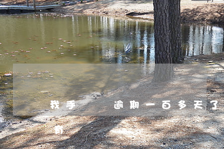 我手機貸逾期一百多天了(貸款逾期一天有沒有問題)