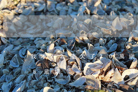 我才22歲欠了20萬網(wǎng)貸(25歲網(wǎng)貸欠了十幾萬)