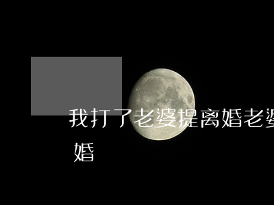 我打了老婆提离婚(老婆脾气倔我打了她要离婚)