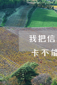 我把信用卡借出去了他不還(為什么還完信用卡不能借了)