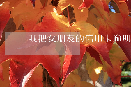 我把女朋友的信用卡逾期了
