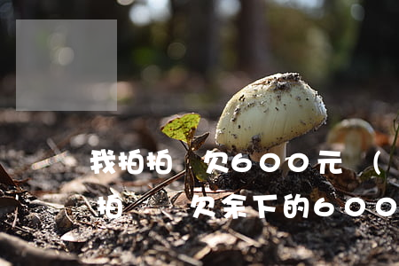 我拍拍貸欠600元錢(qián)不還(拍拍貸還欠余下的600多塊錢(qián) 不還好么)