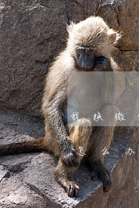 我换微信能起诉我吗-我换微信能起诉我吗怎么办