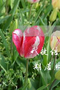 我捷信逾期居然還給下了信用卡-我捷信逾期居然還給下了信用卡怎么回事