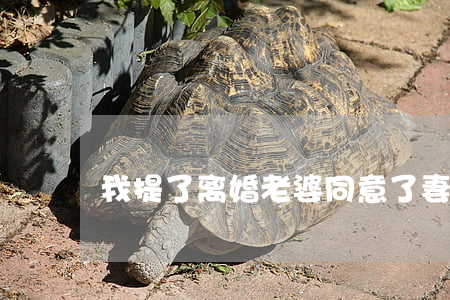 我提了离婚老婆同意了(妻子终于同意离婚)