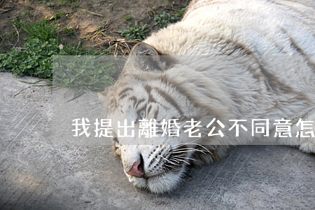 我提出離婚老公不同意怎么辦