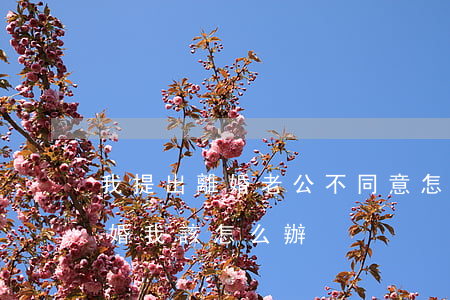 我提出離婚老公不同意怎么辦(老公不同意離婚我該怎么辦)