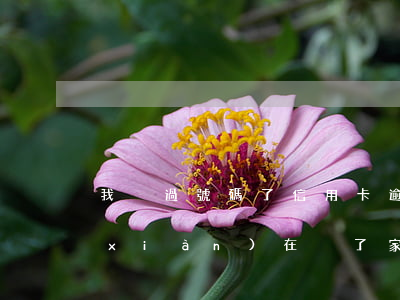 我換過號碼了信用卡逾期(欠了信用卡 我現(xiàn)在換了家公司和手機號碼)