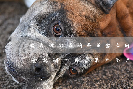 我支付宝美的备用金之前逾期了(支付宝备用金逾期一月后果严不严重?)