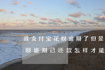 我支付宝花呗逾期了但是解绑了(支付宝的花呗逾期已还款怎样才能解冻)