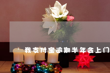 我支付宝逾期半年会上门