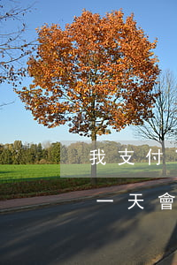 我支付寶借唄逾期一天-我支付寶借唄逾期一天會怎么樣