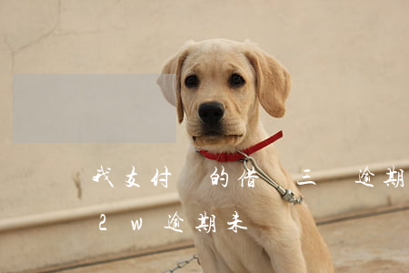 我支付寶的借唄三萬逾期快兩年（支付寶借唄2w逾期未還）