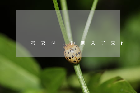 我支付寶逾期久了(支付寶逾期有事嗎)