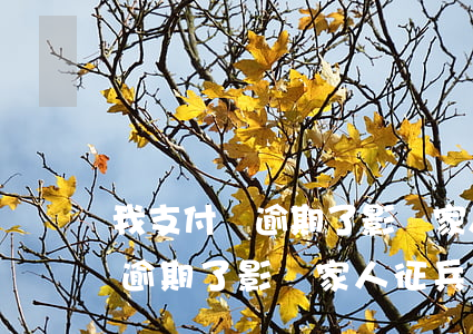 我支付寶逾期了影響家人征兵嗎-我支付寶逾期了影響家人征兵嗎