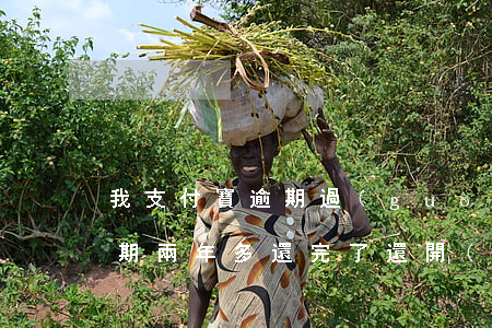 我支付寶逾期過(guò)還完了(支付寶逾期兩年多還完了,還開(kāi)的了不)