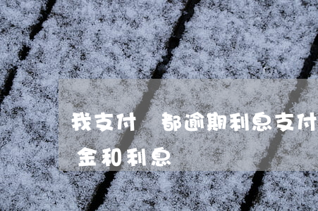 我支付寶都逾期利息 支付寶逾期可以只還本金和利息