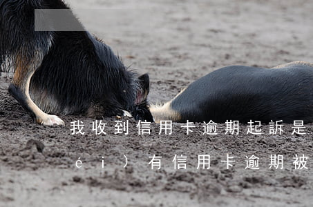 我收到信用卡逾期起訴是真的嗎-有沒(méi)有信用卡逾期被起訴的人