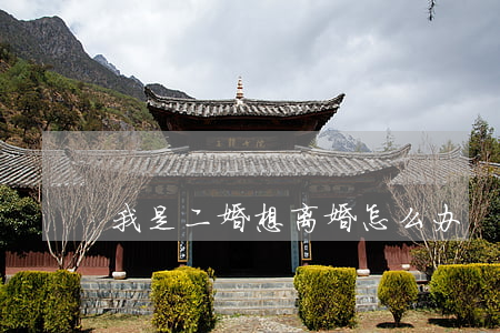 我是二婚想离婚怎么办