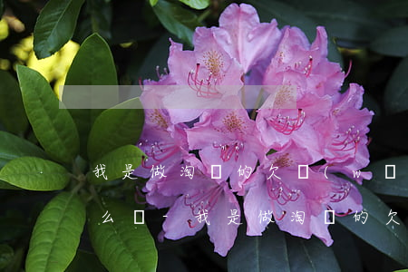 我是做淘寶的欠網(wǎng)商貸8萬怎么辦-我是做淘寶的欠網(wǎng)商貸8萬怎么辦呢