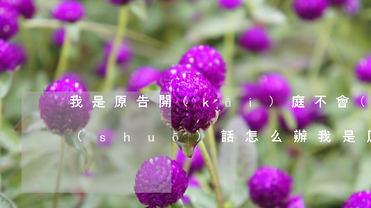我是原告開(kāi)庭不會(huì)說(shuō)話怎么辦(我是原告開(kāi)庭不會(huì)說(shuō)話怎么辦離婚)