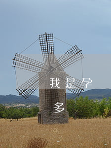 我是孕婦欠網貸20萬怎么辦(孕婦欠了10多萬網貸)