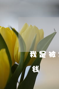 我是被告请律师多少钱(我是被告请律师多少钱)