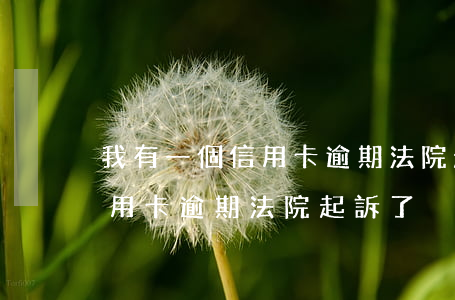 我有一個信用卡逾期法院起訴了(我有一個信用卡逾期法院起訴了)