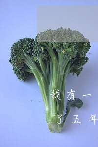 我有一張信用卡逾期5年-3千信用卡逾期了五年