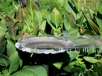 我有一張建行信用卡逾期了(建行 信用卡 逾期)