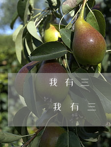 我有三張信用卡一張逾期三個(gè)月-我有三張信用卡一張逾期三個(gè)月怎么辦