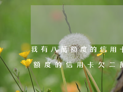 我有八萬額度的信用卡欠二萬六-我有八萬額度的信用卡欠二萬六怎么辦