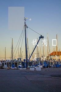 我有幾個(gè)網(wǎng)貸嚴(yán)重逾期(今年網(wǎng)貸逾期的人特別多)