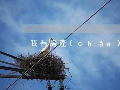 我有房產(chǎn)證為什么還輸了官司
