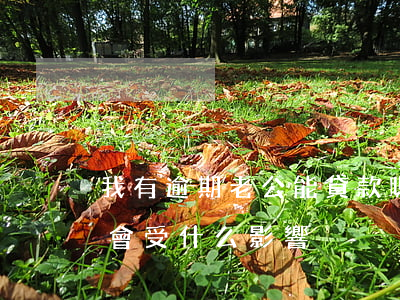 我有逾期老公能貸款嗎(老公貸款逾期了妻子會受什么影響)
