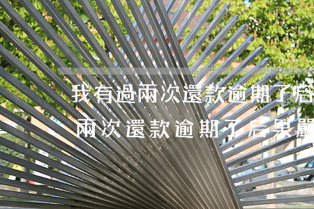 我有過兩次還款逾期了后果嚴重嗎-我有過兩次還款逾期了后果嚴重嗎怎么辦