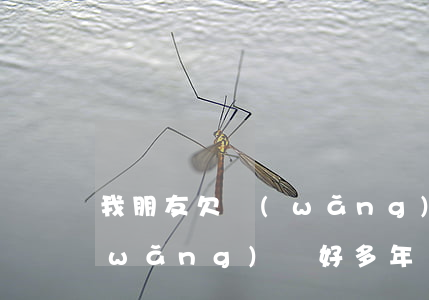 我朋友欠網(wǎng)貸幾年都沒還(網(wǎng)貸好多年沒有還)