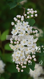 我朋友欠網(wǎng)貸給我打電話(huà)會(huì)給我家人打嗎-我朋友欠網(wǎng)貸給我打電話(huà)會(huì)給我家人打嗎