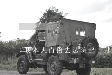 我本人直接去法院起訴就可以嗎