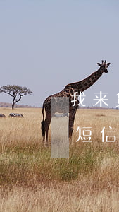 我来贷加微信说起诉(我来贷起诉之前给我发短信)